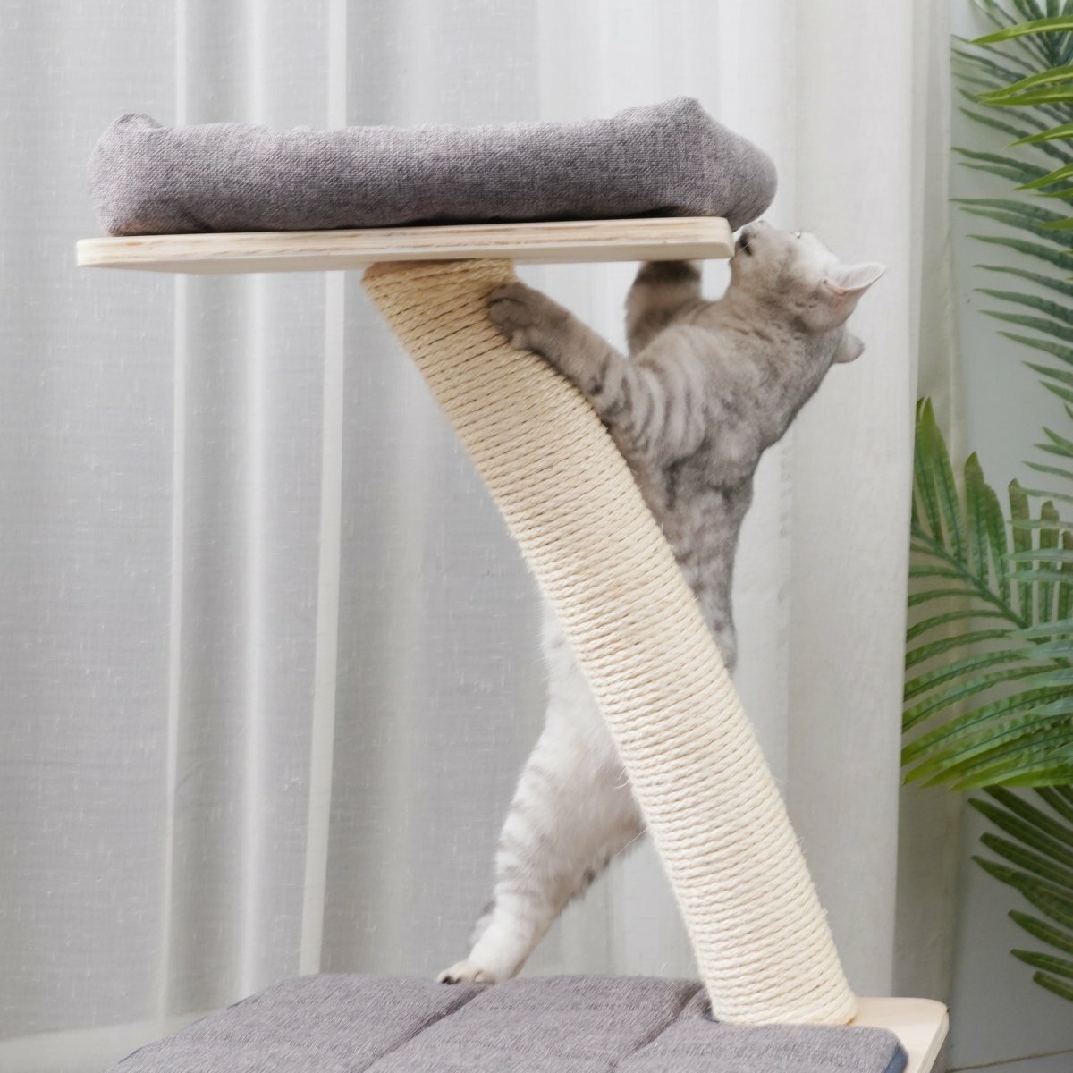 Apollo - Plywood Cat Tree - AGILE