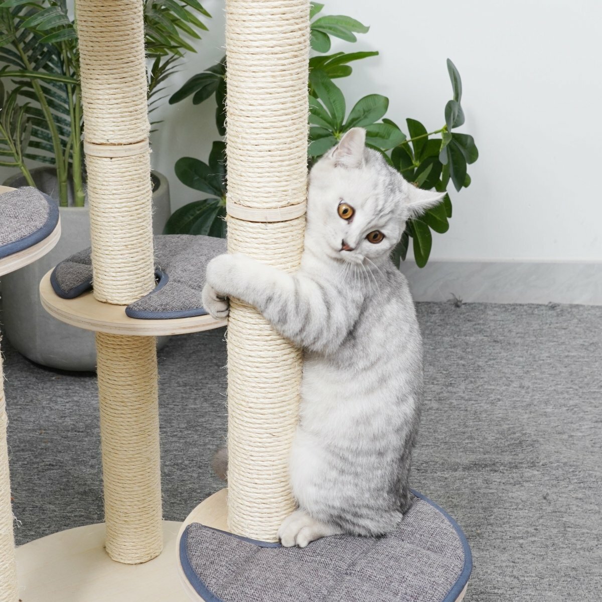 Cleo - Plywood Cat Tree - AGILE