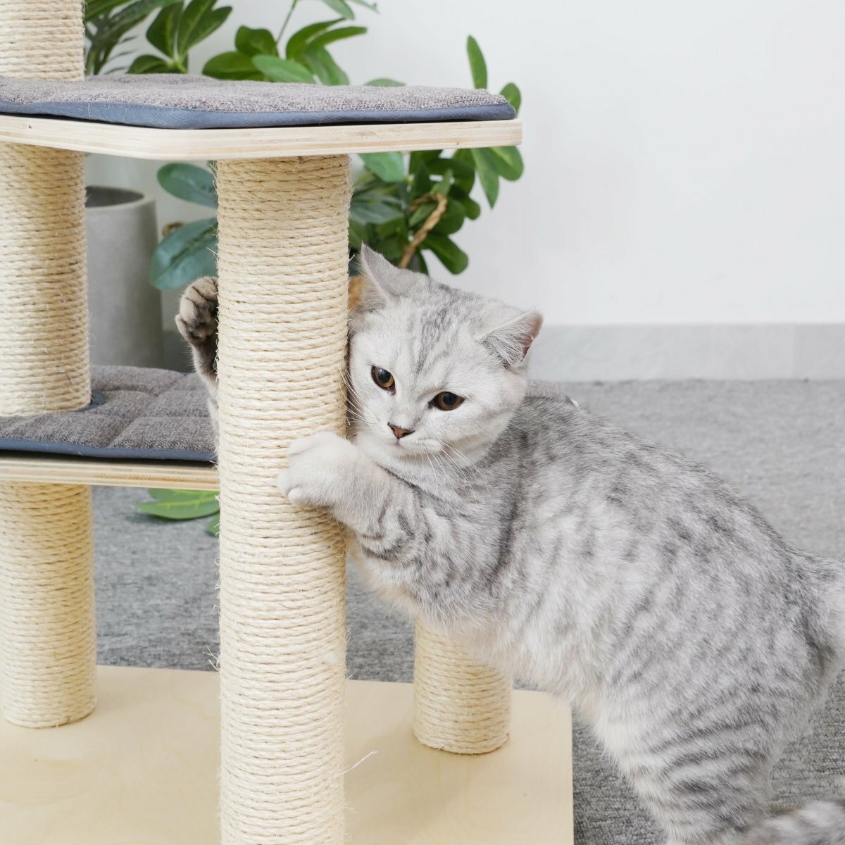 Felix - Plywood Cat Tree - AGILE