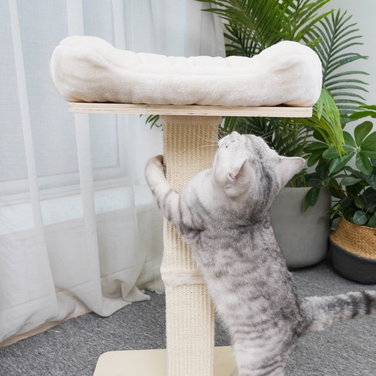 Jett - Plywood Cat Perch - AGILE