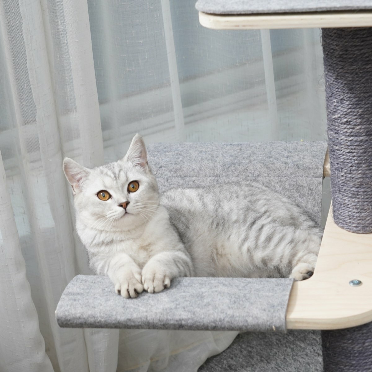 Loki - Plywood Cat Tree - AGILE