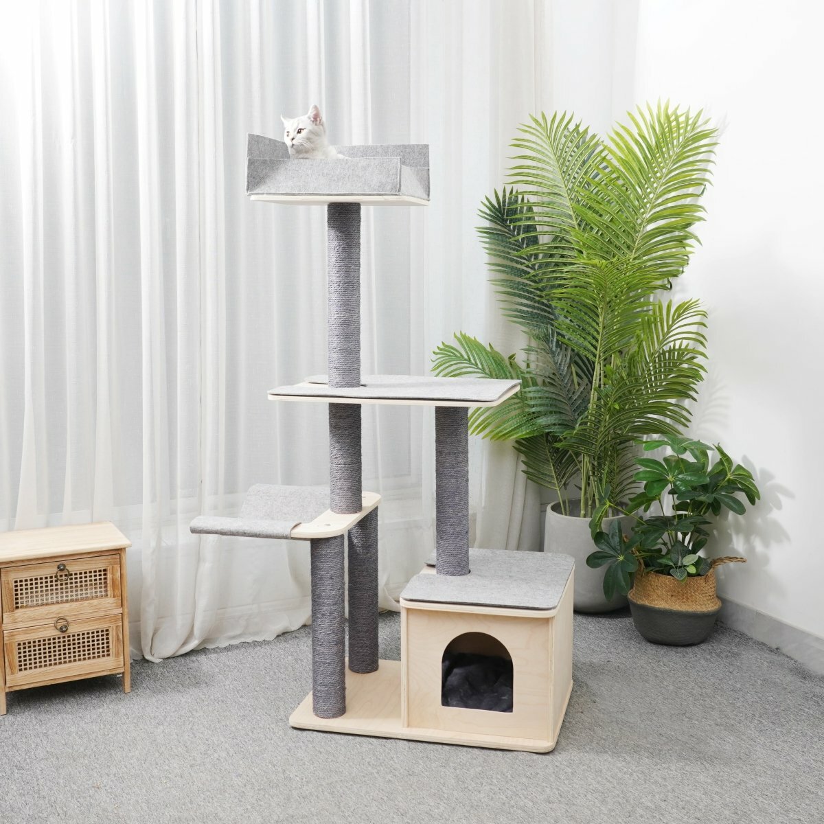 Loki - Plywood Cat Tree - AGILE