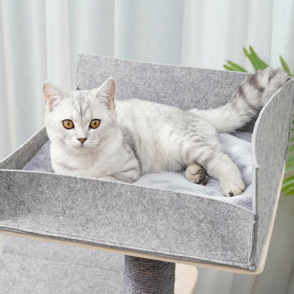 Luna - Plywood Cat Tree - AGILE