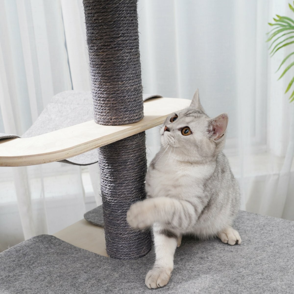 Luna - Plywood Cat Tree - AGILE