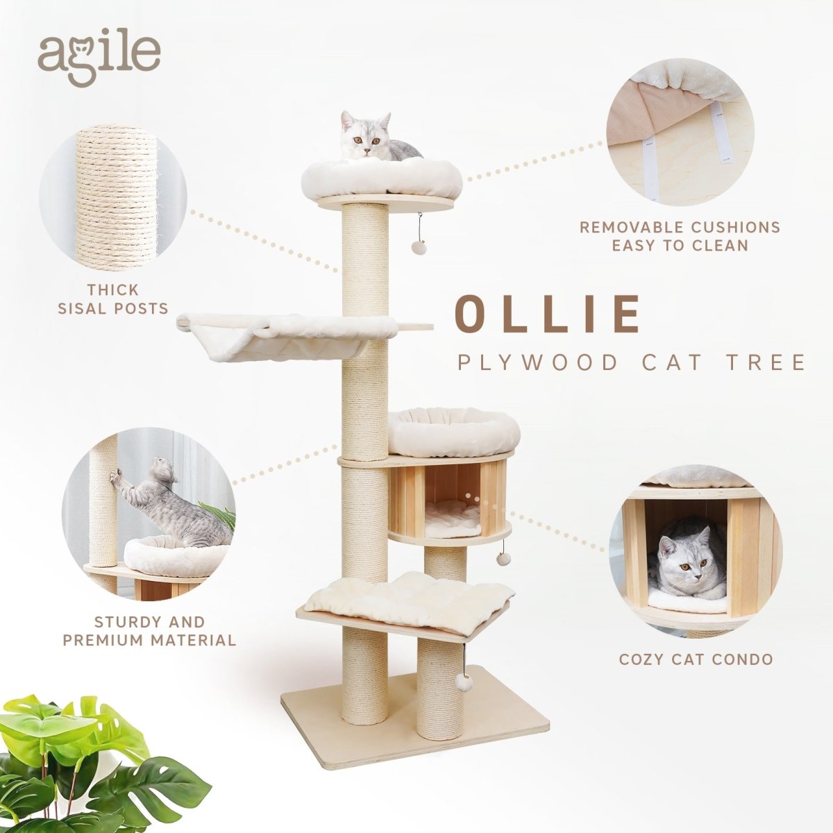 Ollie 175 cm - Plywood Cat Tree - AGILE